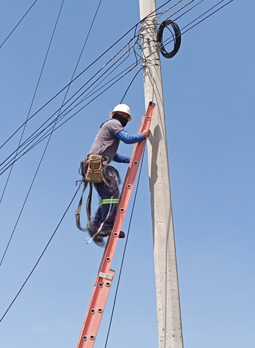 Fibra-01.png