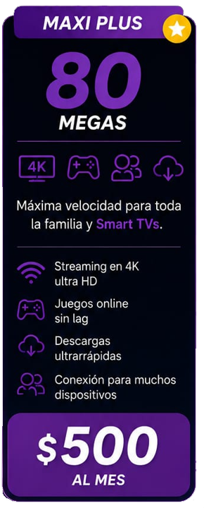 PlanMaxi.png