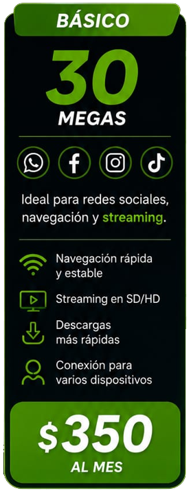 PlanBasico.png